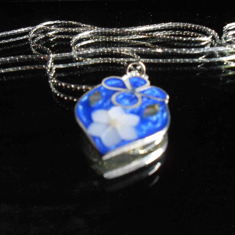 Silver and Abalone Necklace with 22-inch Chain